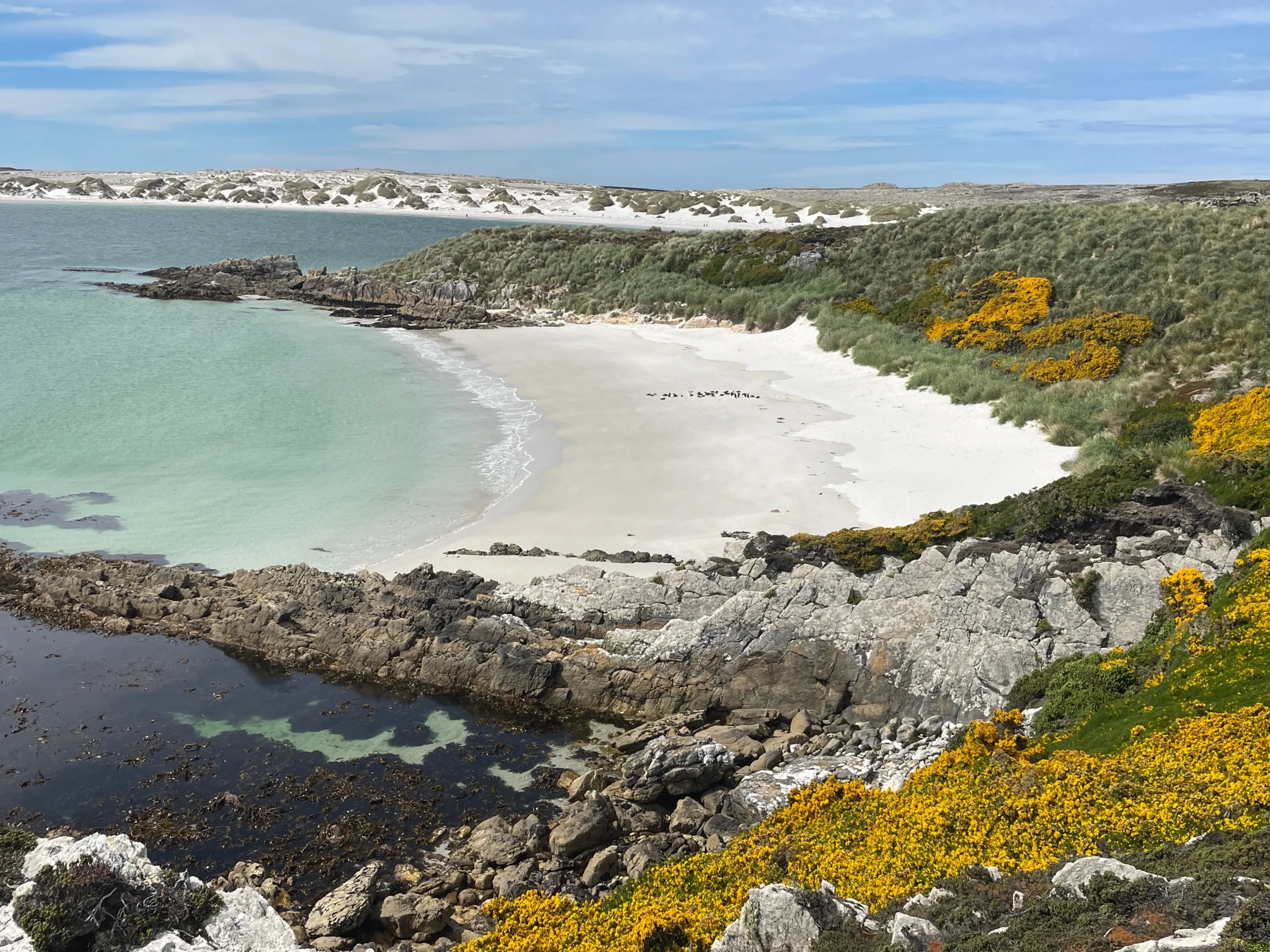 imageye___-_imgi_120_caption