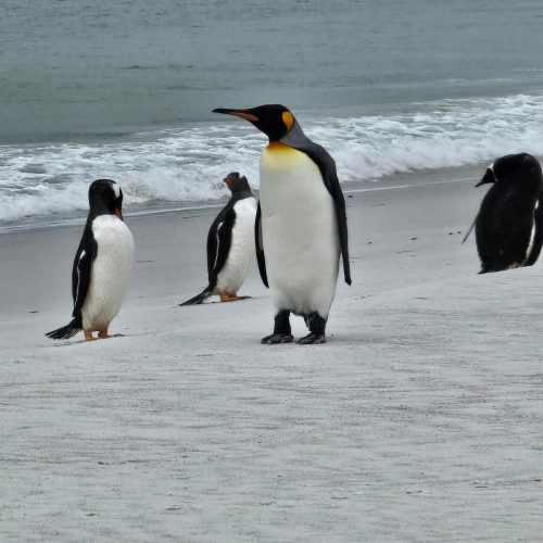 Bertha’s Beach Tour